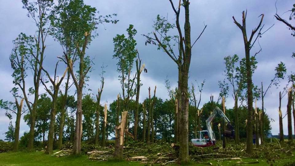 Ouderkerkerplas bomen eilandje (1)