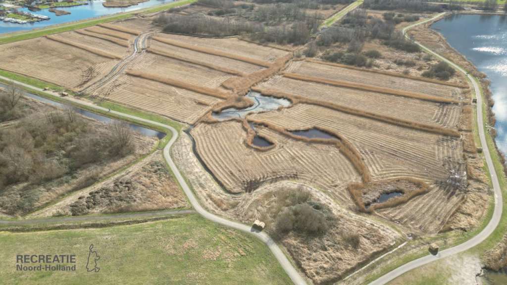 Rietstroken blijven ongemaaid voor rietvogels Rietstroken blijven ongemaaid voor rietvogels